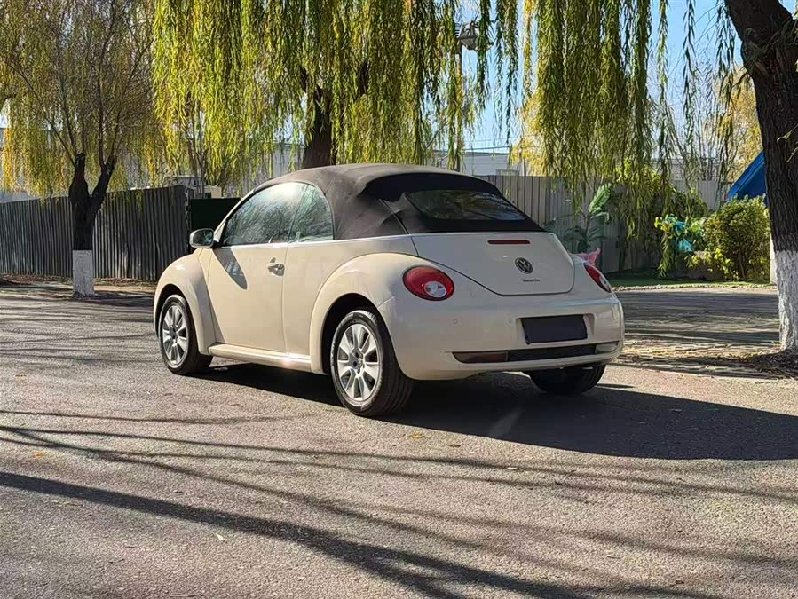 Volkswagen Beetle 2010 immagine di auto #9