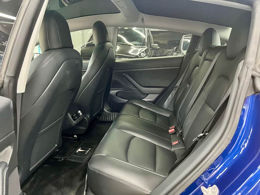 Tesla Model 3 2020 car image #9