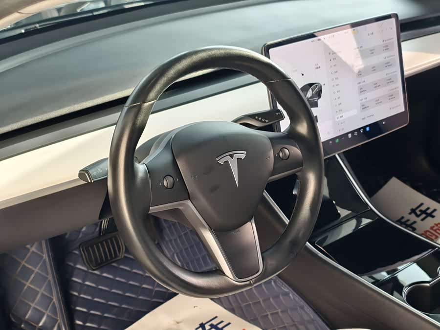 特斯拉 Model 3(进口) 2019 汽车图片 #9
