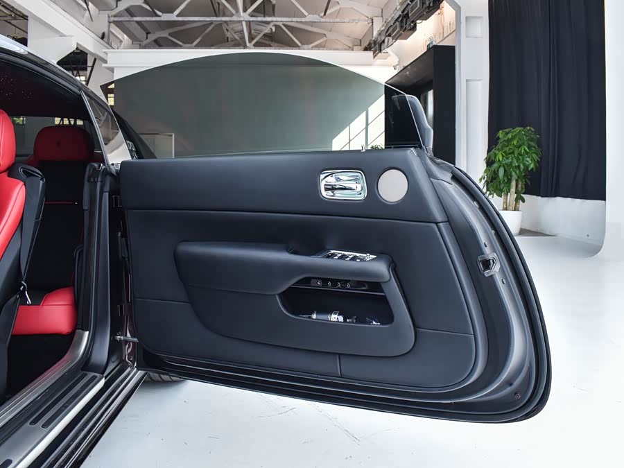 Denza Wraith 2014 car image #9