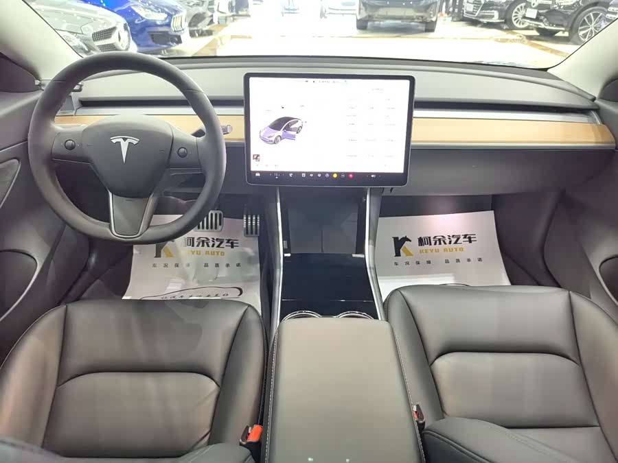 Tesla Model 3 2020 car image #9