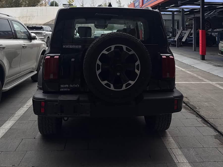 Tank 300 New Energy 2025 car image #9