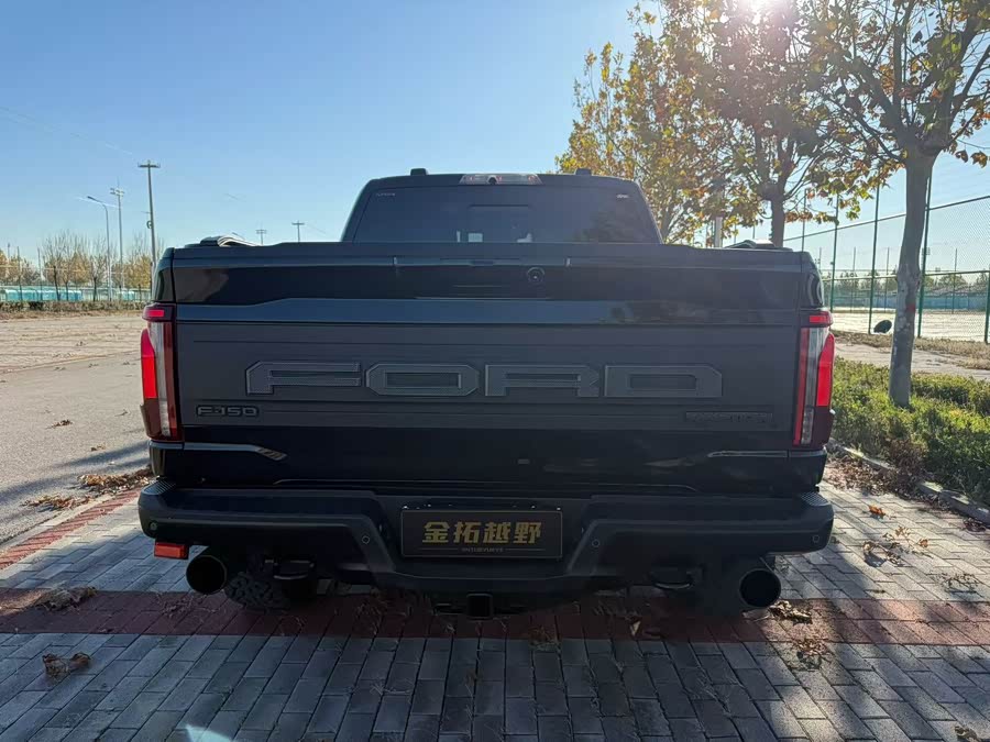 Ford F-150 Raptor 2024 car image #9