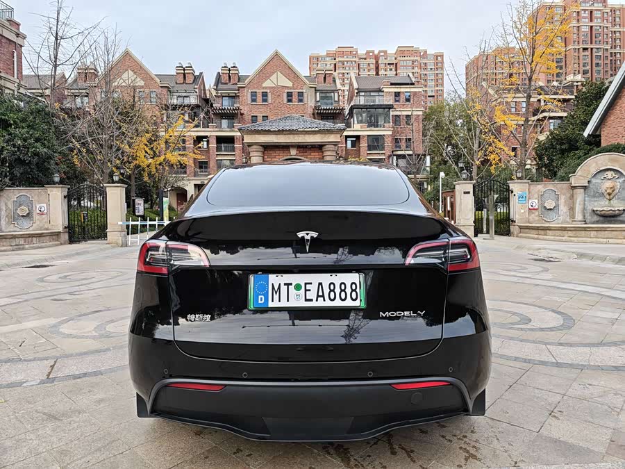 Tesla Model Y 2021 car image #9