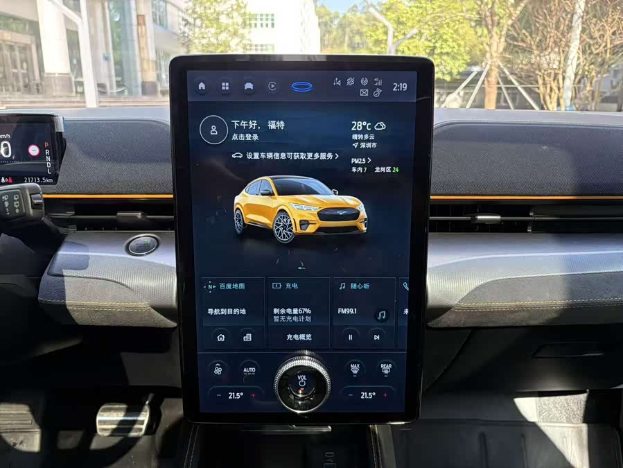 Ford Mustang Mach-E 2024 car image #9