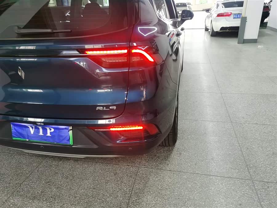 睿蓝汽车 睿蓝9 2023 汽车图片 #9