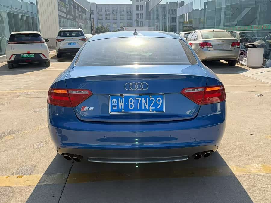 Audi S5 2010 car image #9