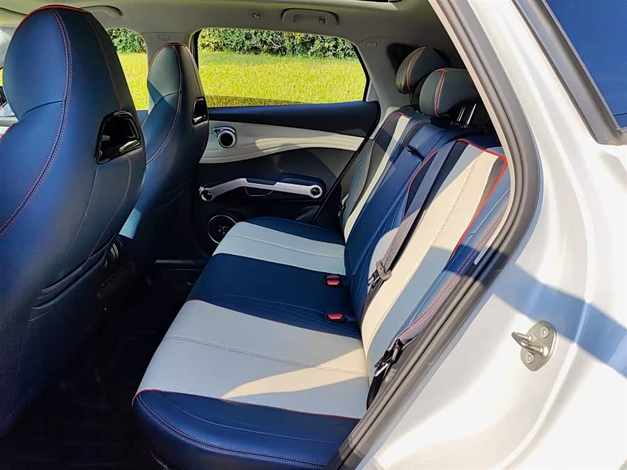 BYD Yuan Plus 2023 car image #9