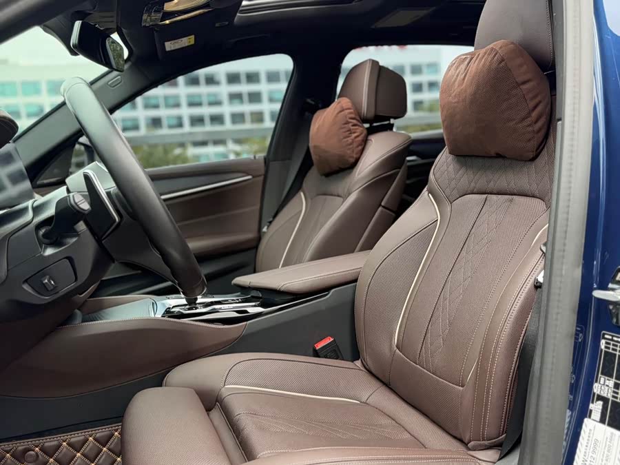 BMW 5 Series 2022 car image #9