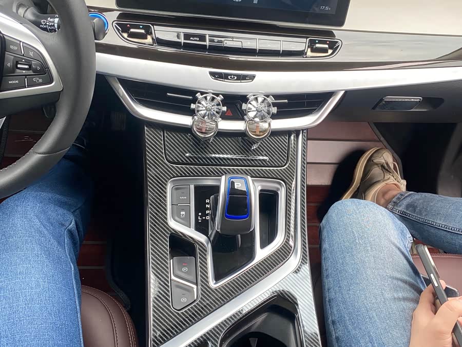 GEELY JiaJi New Energy 2021 car image #9