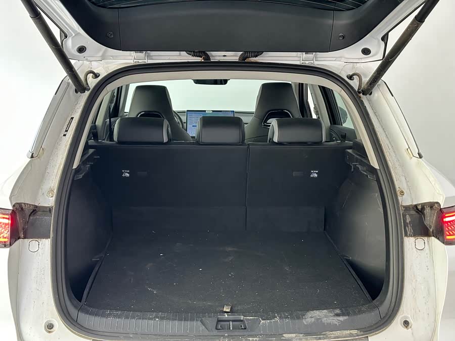 BYD Sea Lion 05 DM-i 2025 car image #9