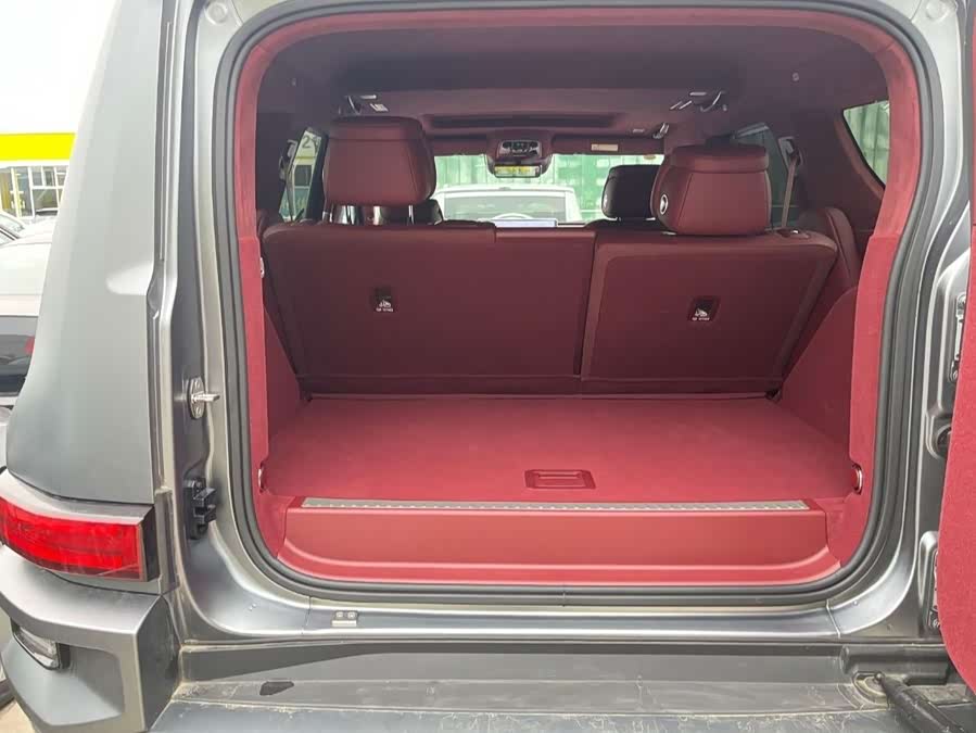 Tank 700 New Energy 2025 #9 Tank 700 New Energy 2025 صورة سيارة #9