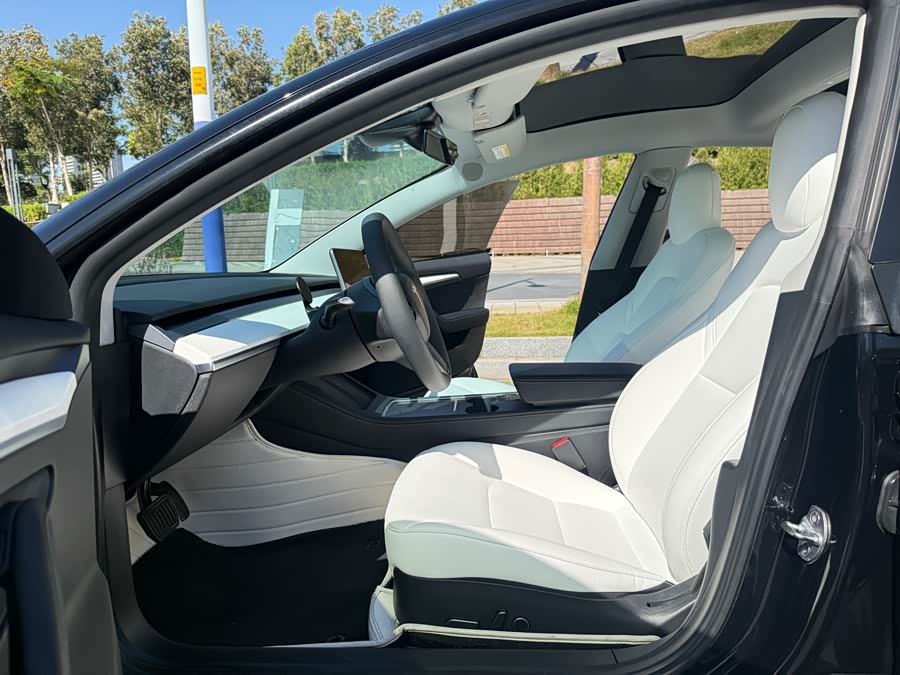 Tesla Model 3 2021 image de voiture #9