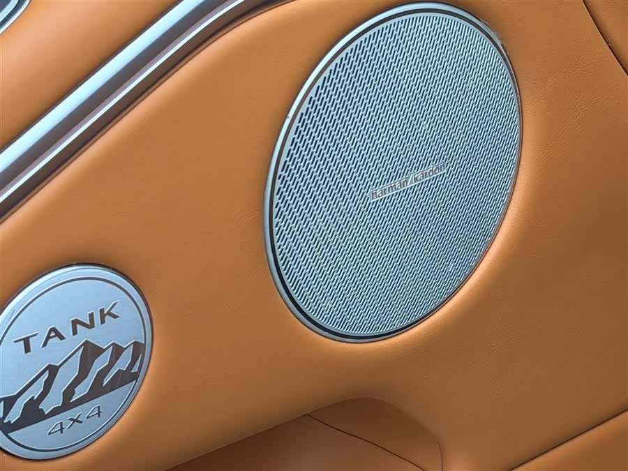 Tank 700 New Energy 2024 imagen de coche #9