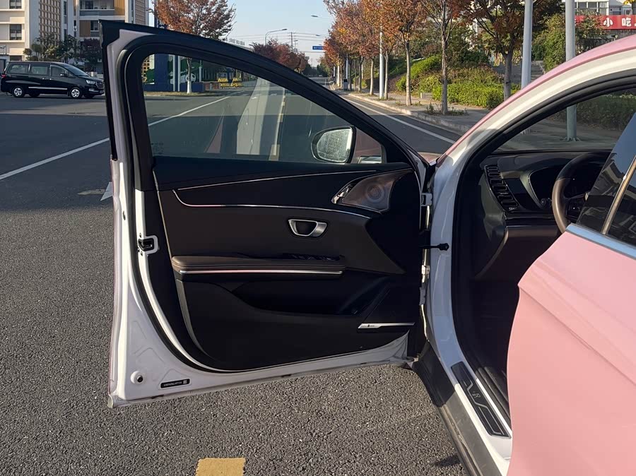 比亚迪 汉 2021 汽车图片 #9