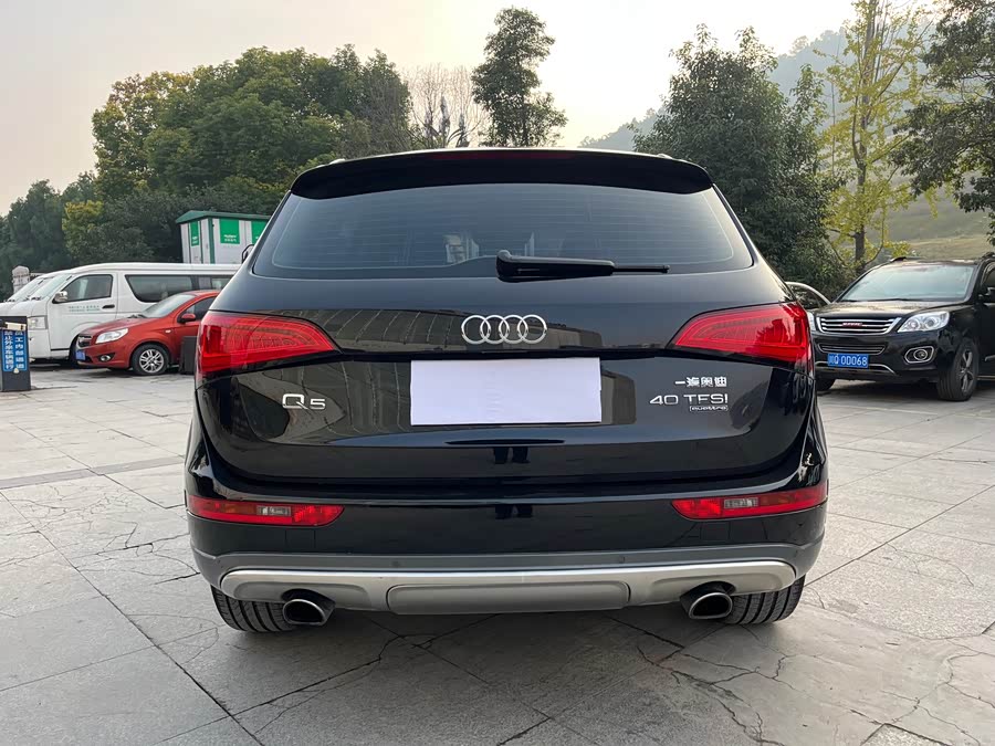 Audi Q5 2018 car image #9