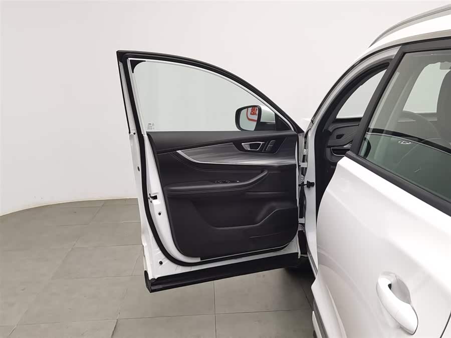 Chery Tiggo 8 Plus 2021 image de voiture #9