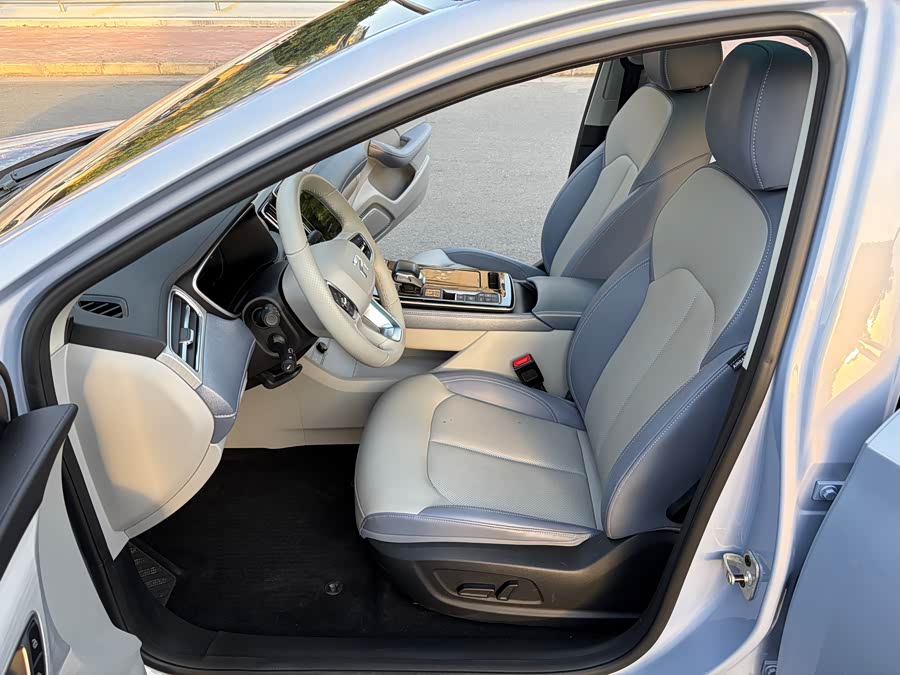 Roewe Rising ER6 2021 imagen de coche #9