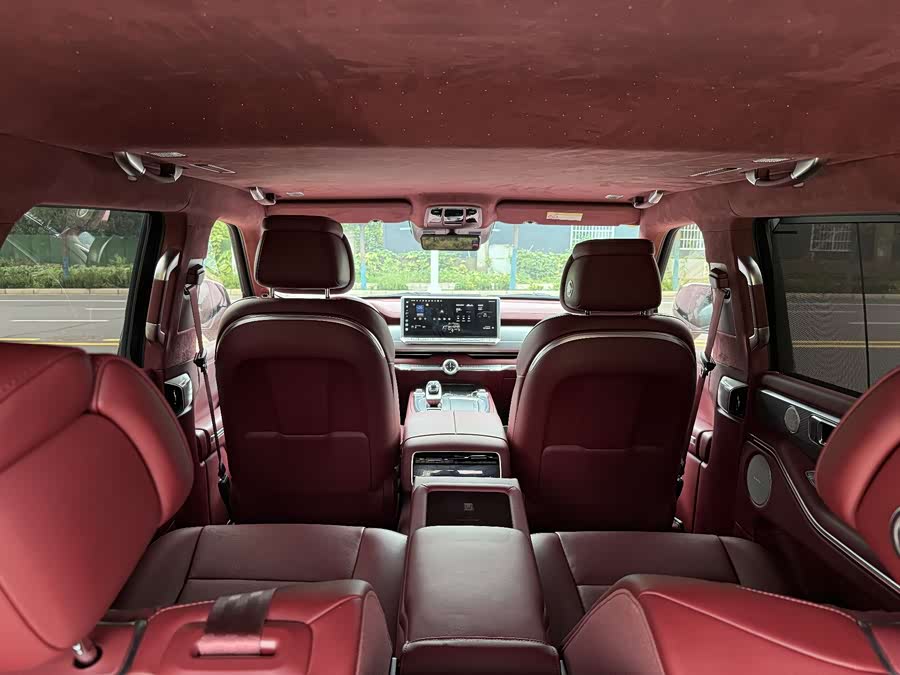 Tank 700 New Energy 2024 car image #9