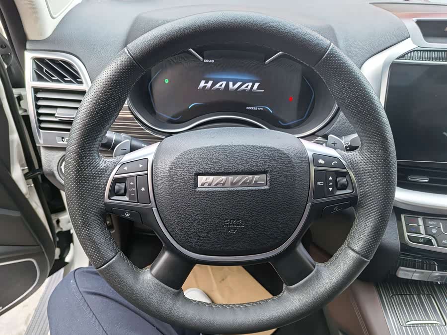 Haval H9 2023 #9 Haval H9 2023 صورة سيارة #9