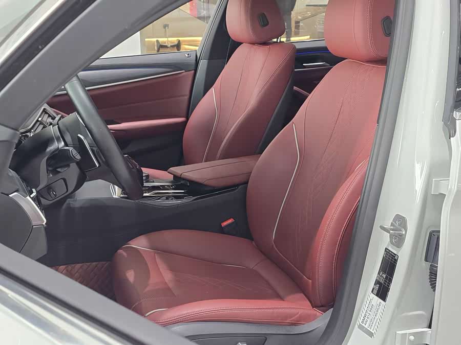 BMW 5 Series 2021 car image #9