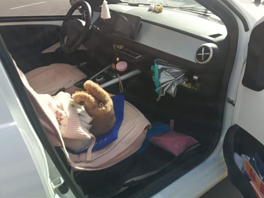 BYD e1 2020 car image #9