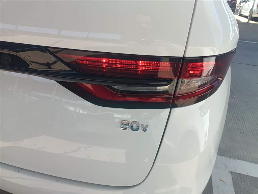 睿蓝汽车 枫叶80v 2021 汽车图片 #9