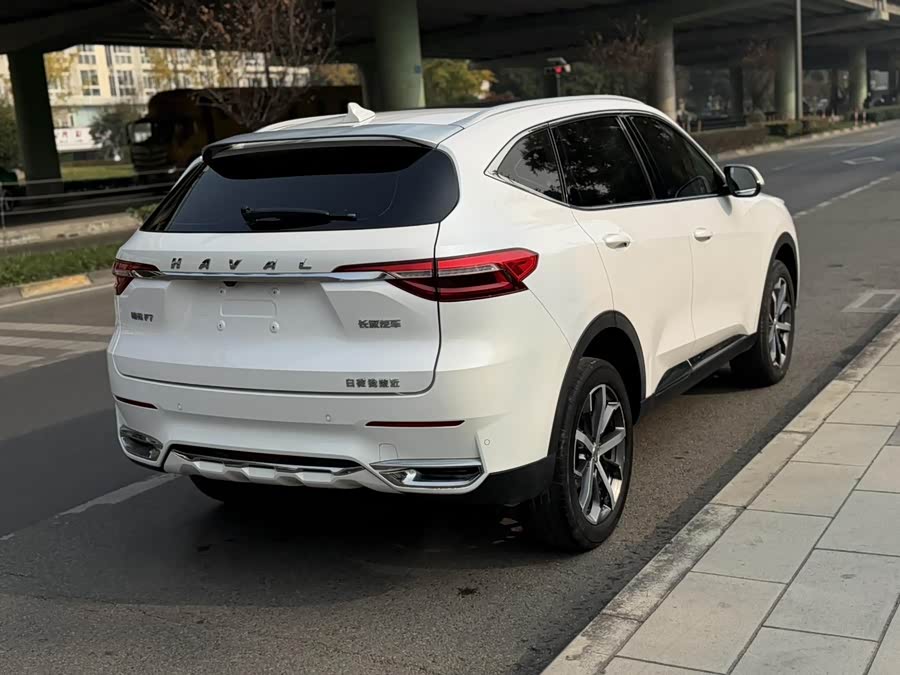 Haval F7 2019 image de voiture #9