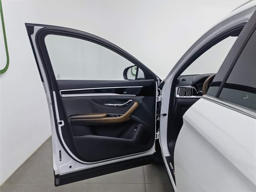 BYD Song Plus 2020 #9 BYD Song Plus 2020 immagine di auto #9