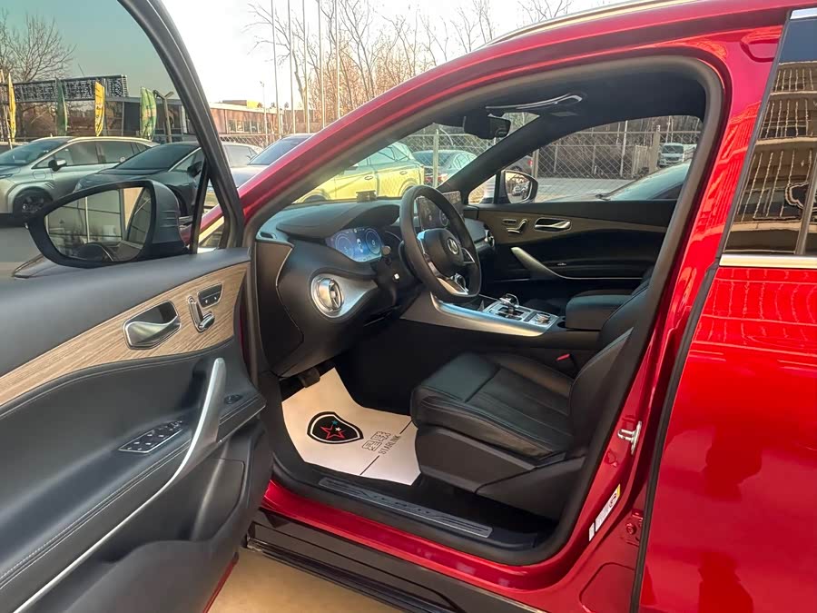 Denza X 2020 #9 Denza X 2020 car image #9