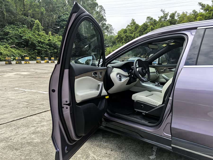 Denza X 2020 car image #9