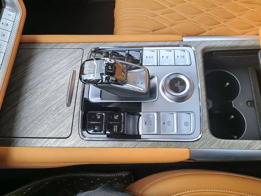 Tank 500 New Energy 2024 immagine di auto #9