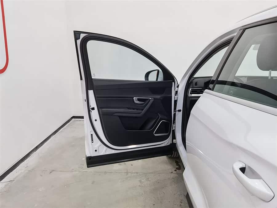 比亚迪 宋Pro 2020 汽车图片 #9