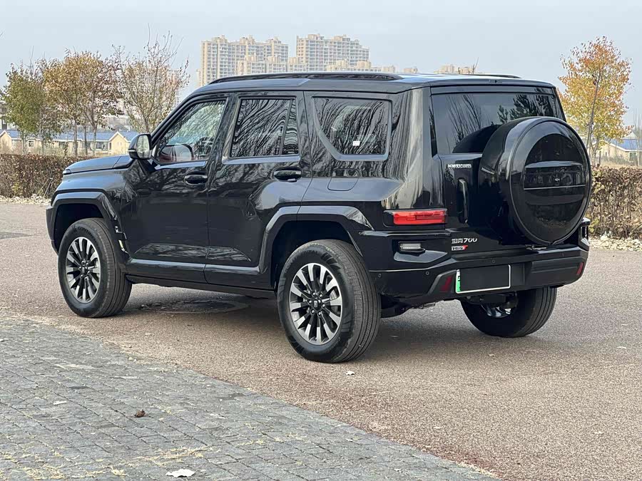 Tank 700 New Energy 2025 immagine di auto #9