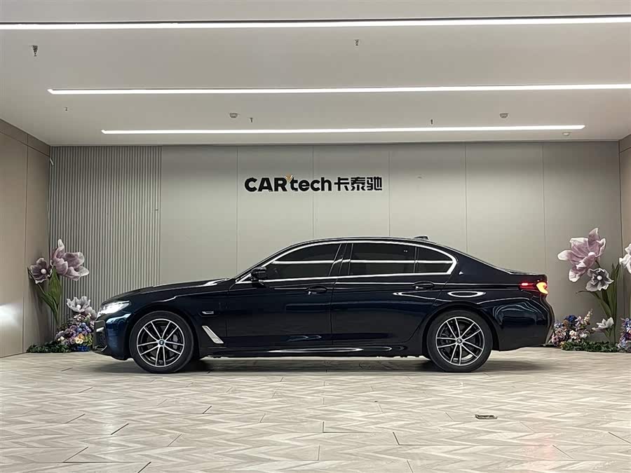 BMW 5 Series New Energy 2021 car image #9