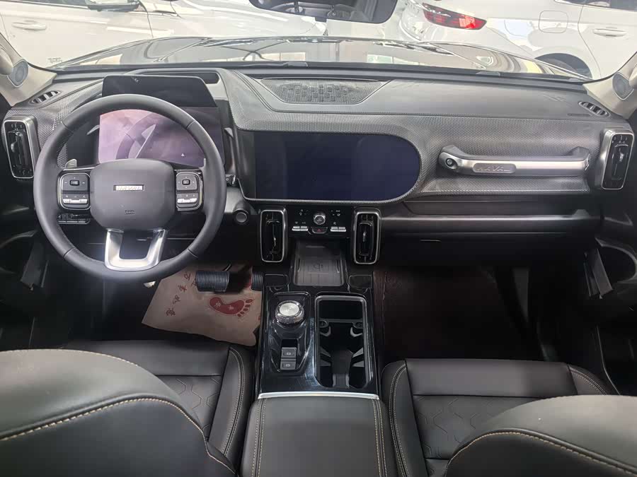 Haval X Dog / Dargo 2022 immagine di auto #9