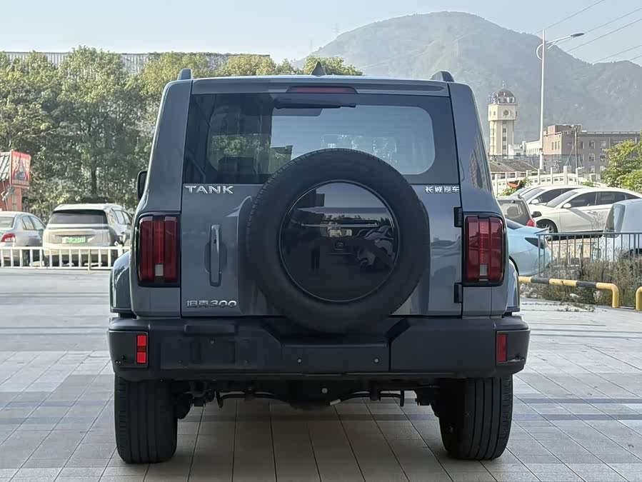 Tank 300 2023 car image #9