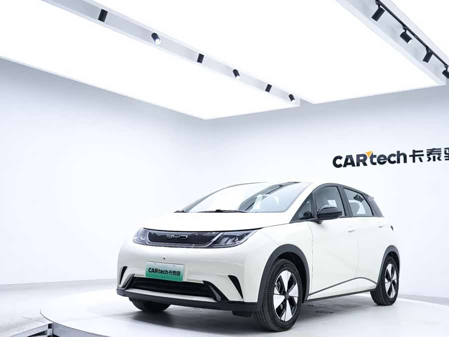 BYD Dolphin 2022 #9 BYD Dolphin 2022 immagine di auto #9