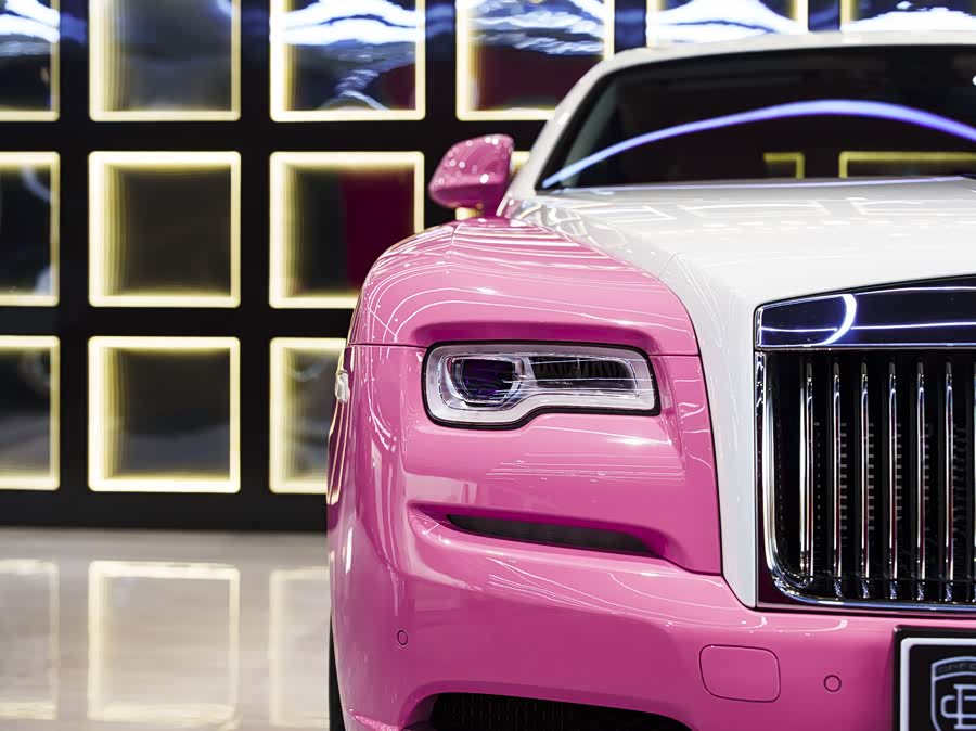 Denza Wraith 2023 car image #9