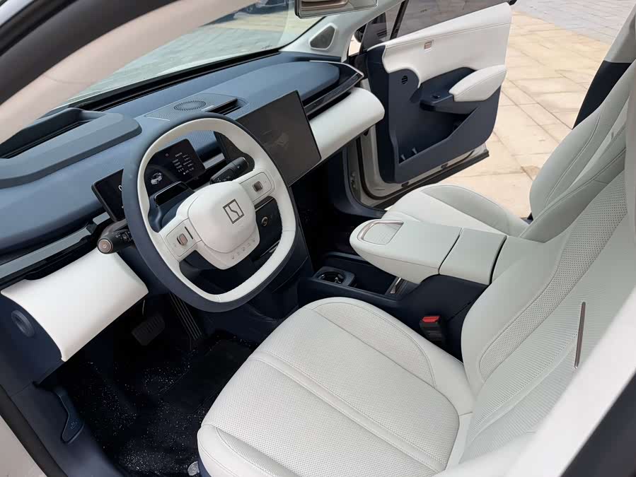 极氪 极氪X 2025 汽车图片 #9