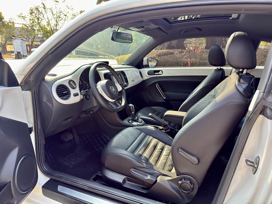 Volkswagen Beetle 2013 immagine di auto #9