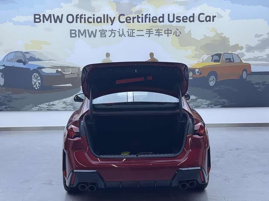 BMW M235L imagen de coche #9