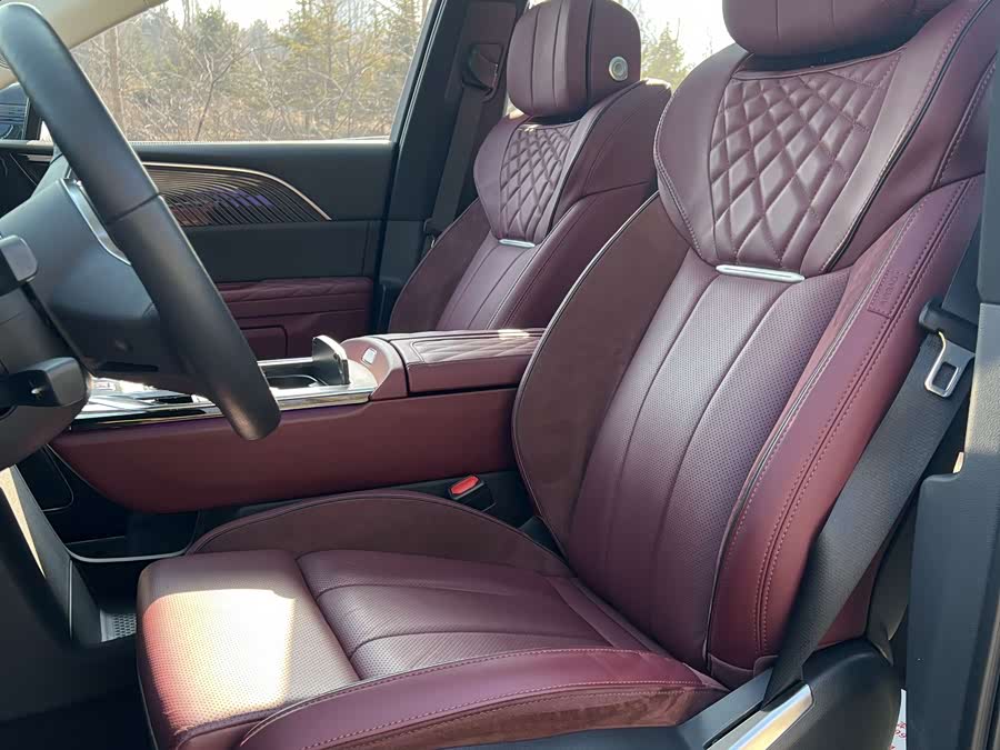 HongQi E-HS9 2023 صورة سيارة #9