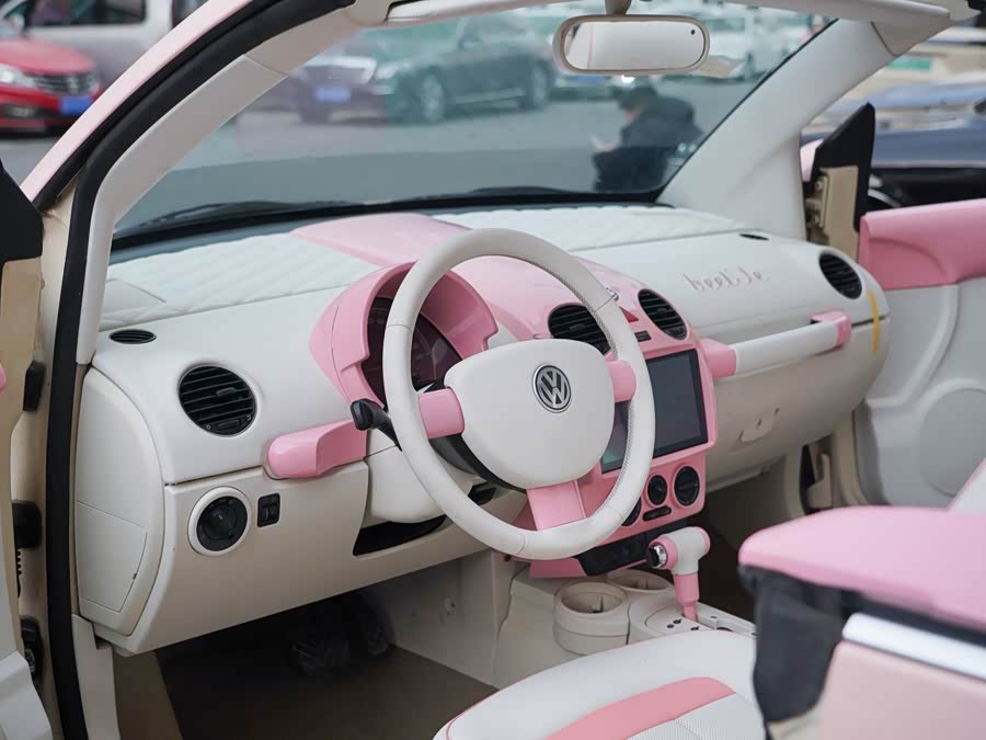 大众 甲壳虫 2010 汽车图片 #9