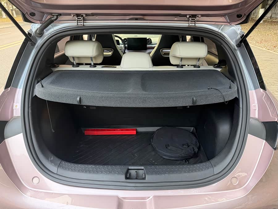 BYD Dolphin 2022 car image #9
