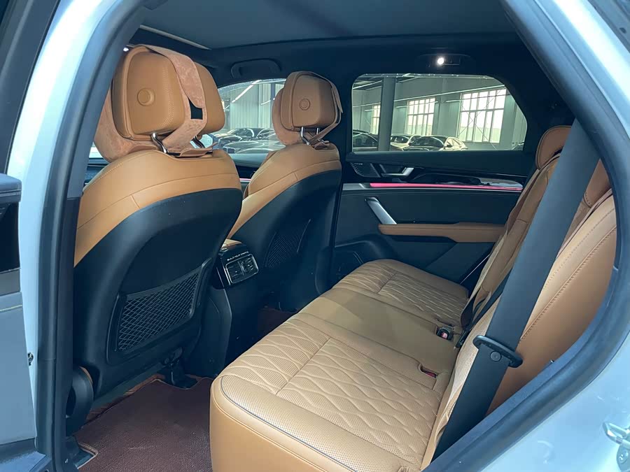 BYD Tang New Energy 2023 car image #9