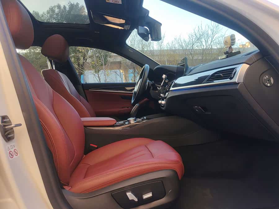 BMW 5 Series 2020 car image #9