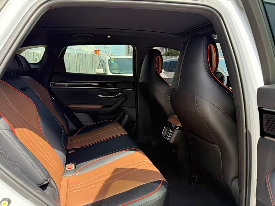 BYD Song Plus 2020 car image #9