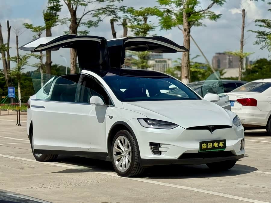 特斯拉 Model X 2020 汽车图片 #9