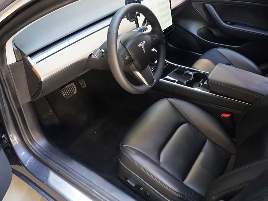 Tesla Model 3 2020 car image #9